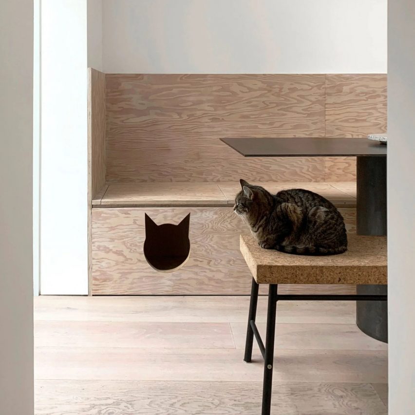 Seven feline-friendly interiors that make cats the master of the home