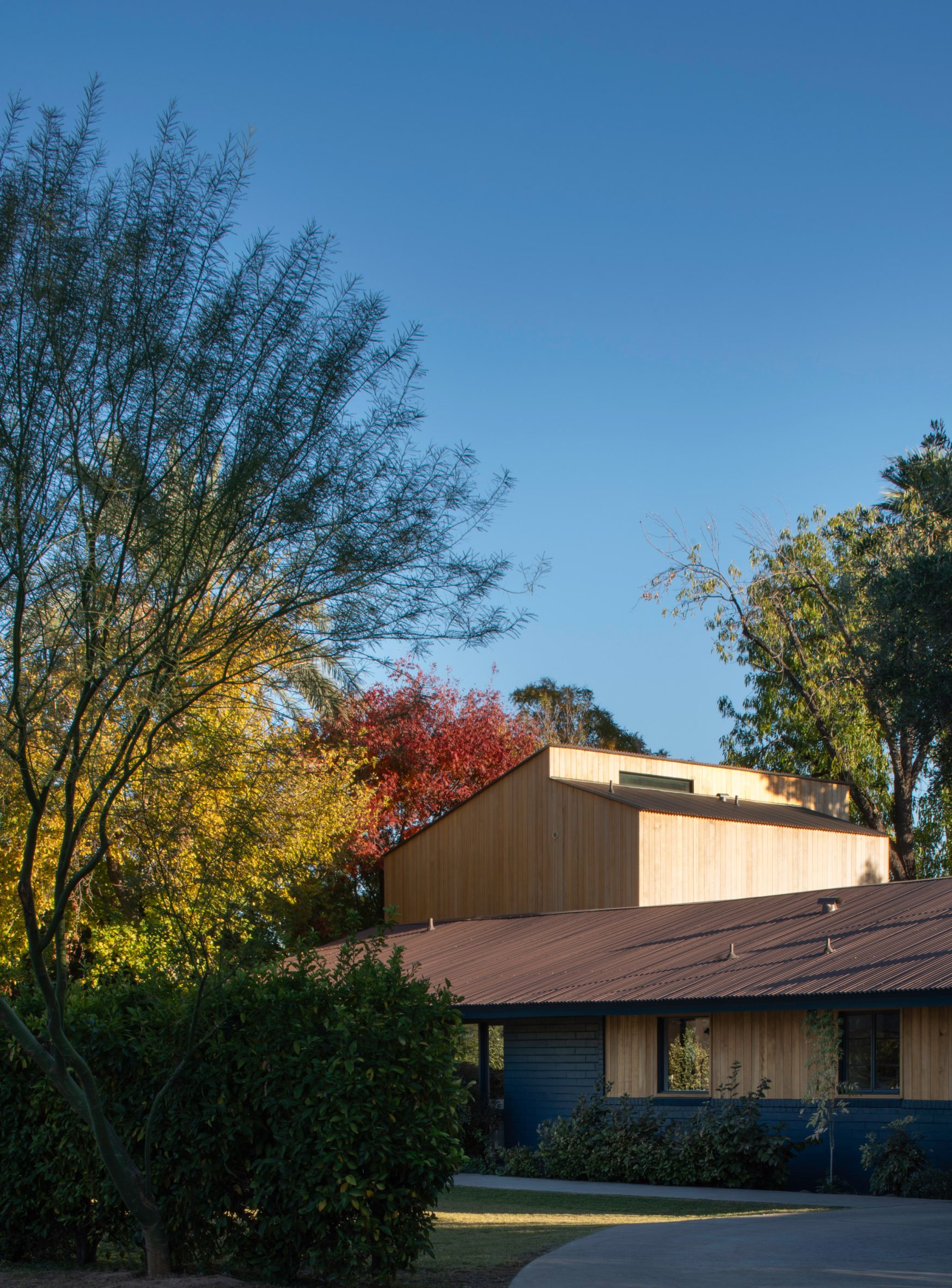 Adkins Treehouse in Phoenix by Benjamin Hall Design