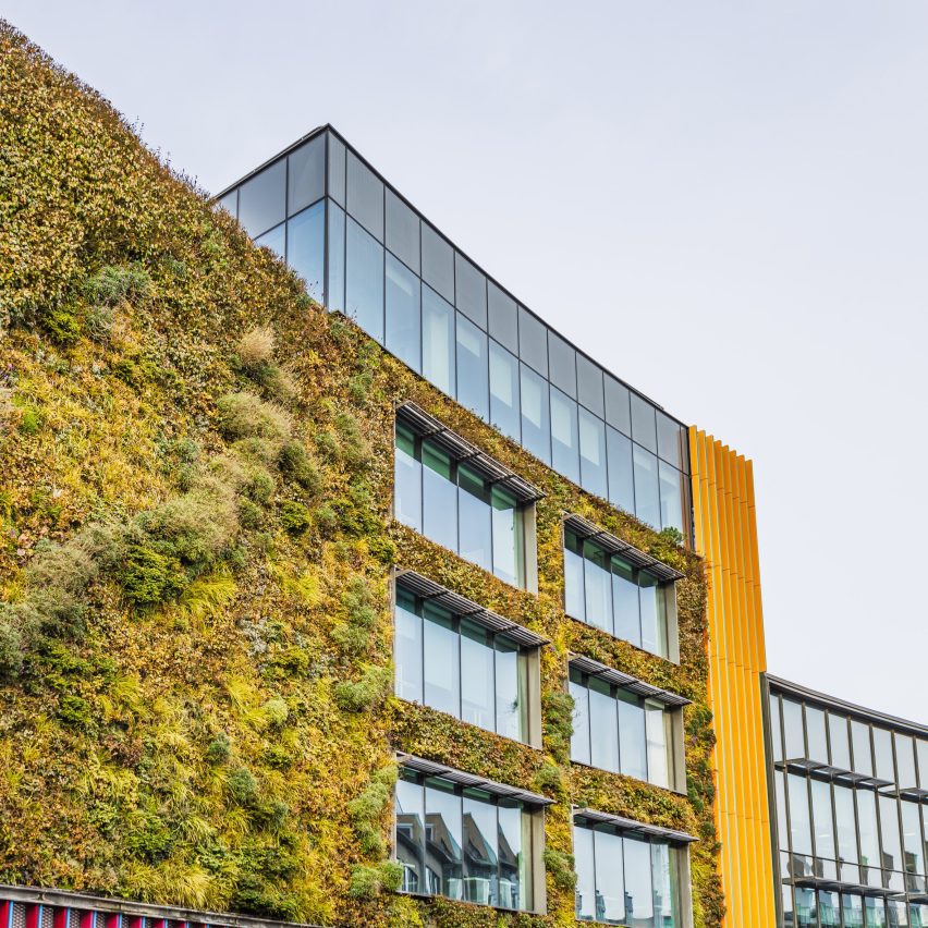 Researchers warn plastic-potted green walls could pose “Grenfell nightmare”