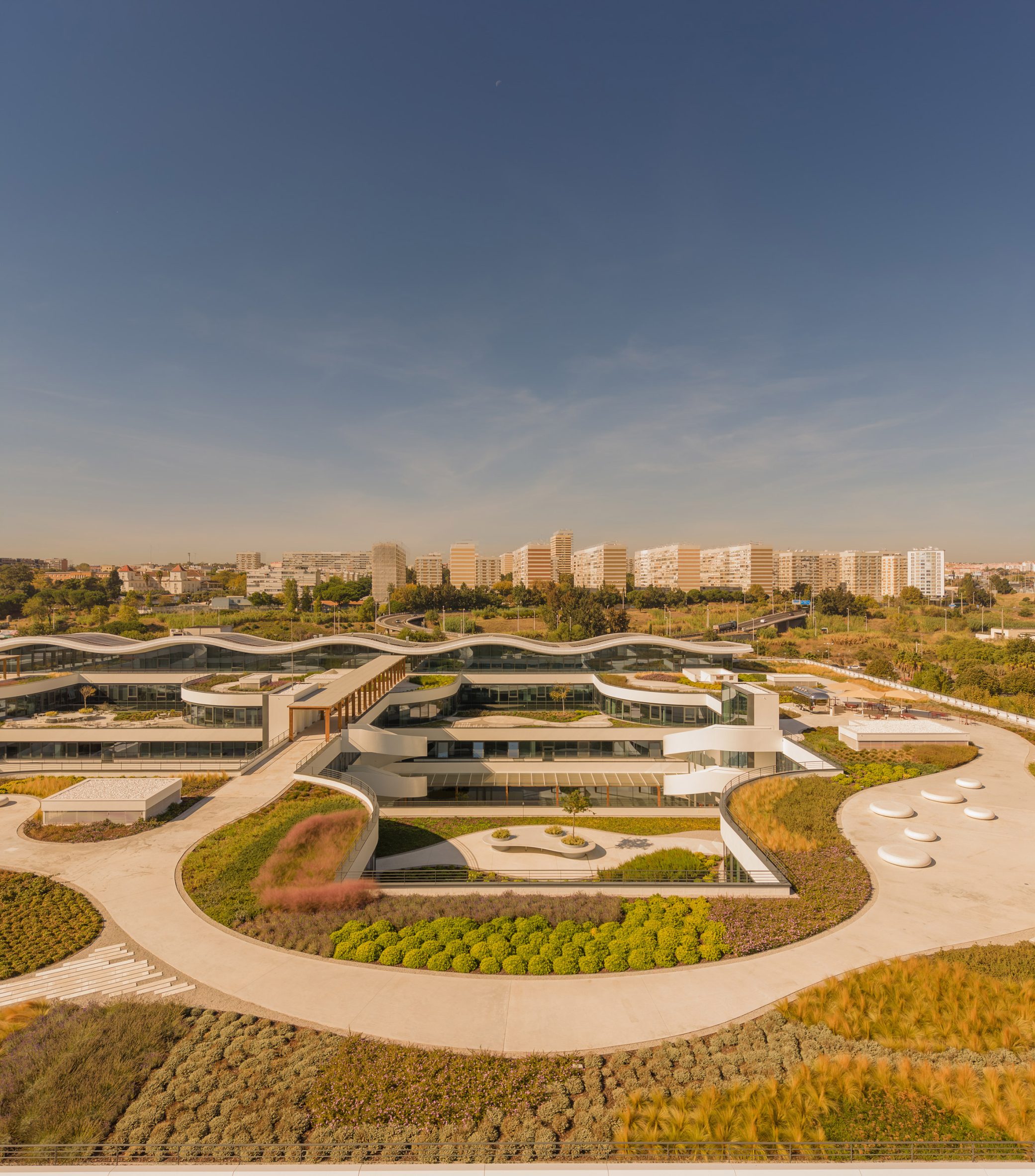 Rooftop gardens on Lisbon office