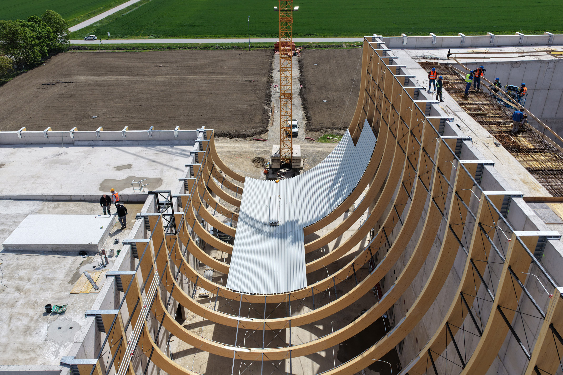 Curved timber structure