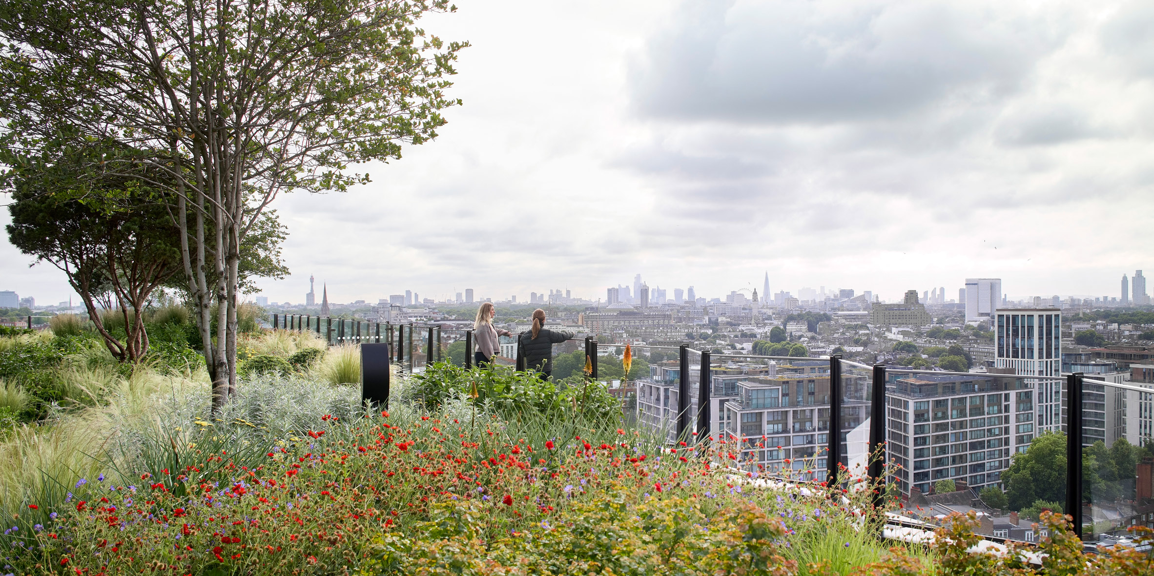 Landscaped roof terrace in London by Heatherwick Studio and SPPARC