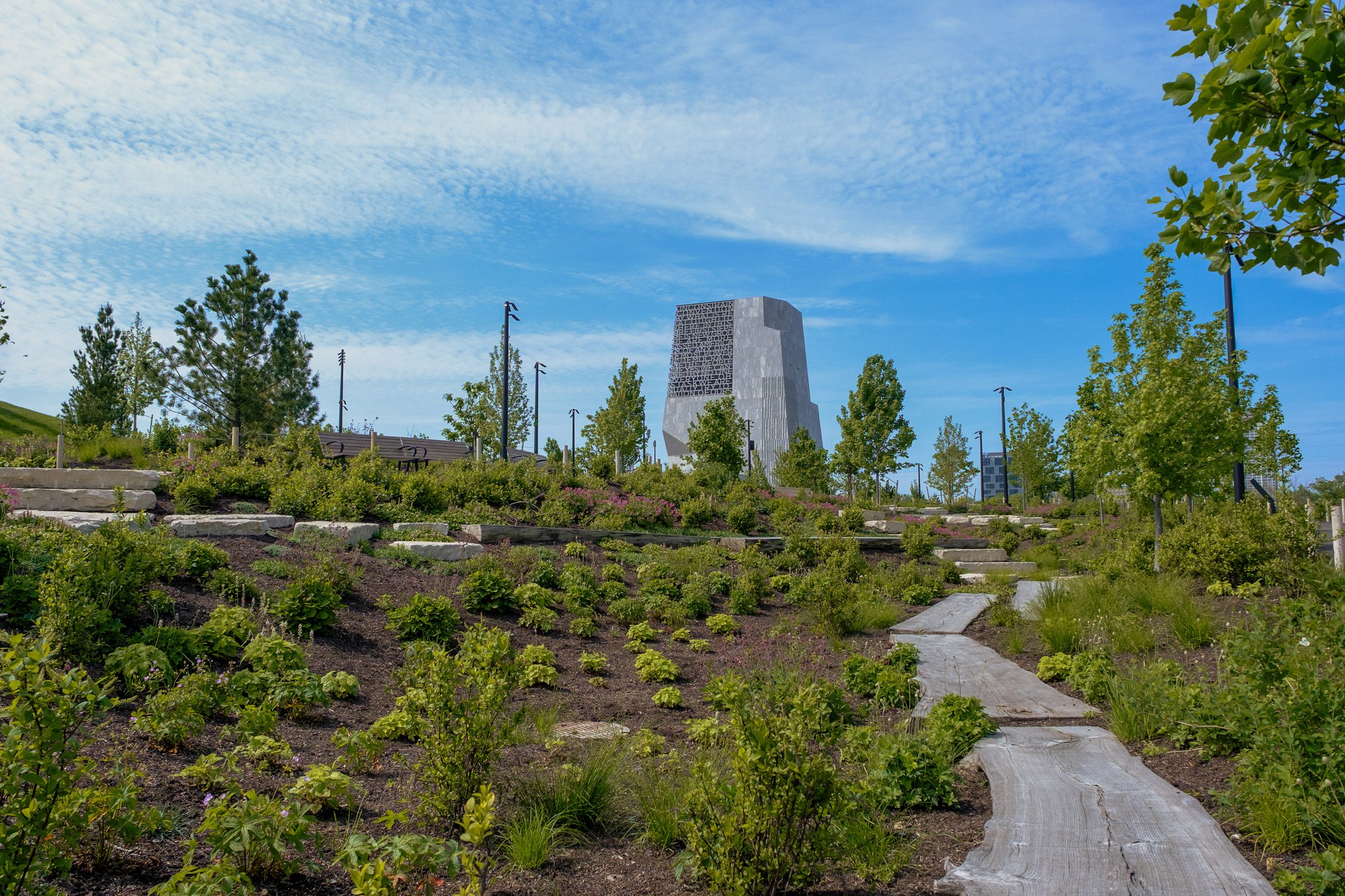 Wetland Park at Obama Presidential Center