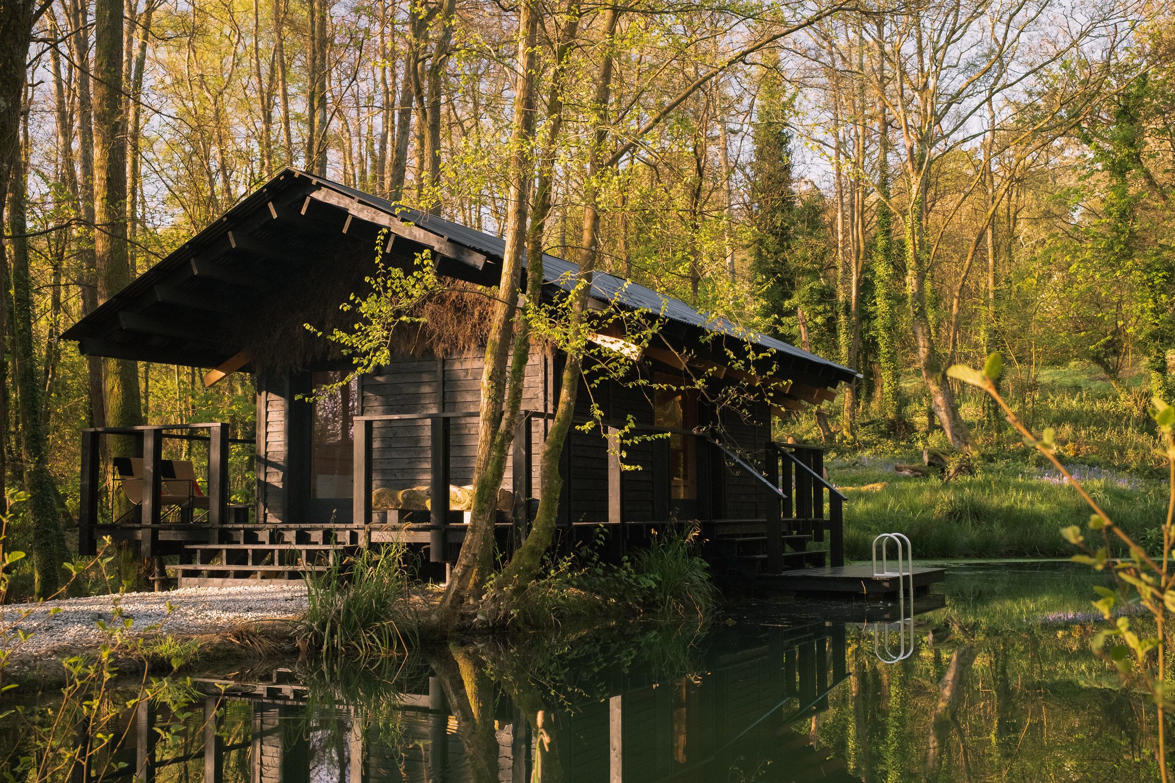 Woodland holiday home